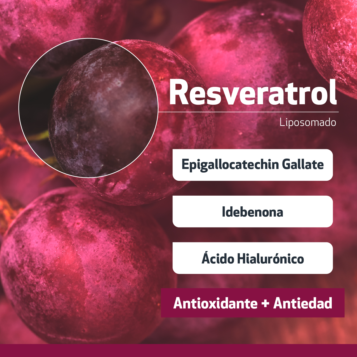 Resveraderm,crema gel,sesderma,rejuvenecedora