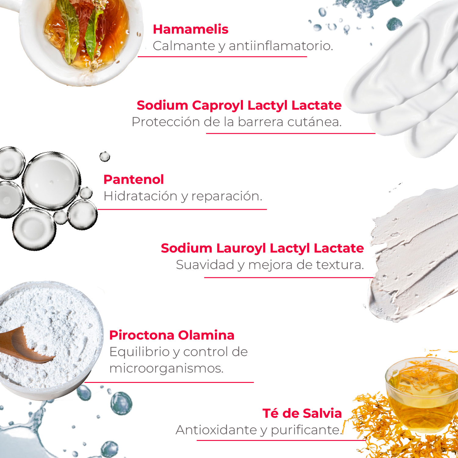 sensyses ovalis,sesderma,