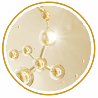 exoses_activos-01
