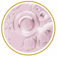 exoses_activos-02